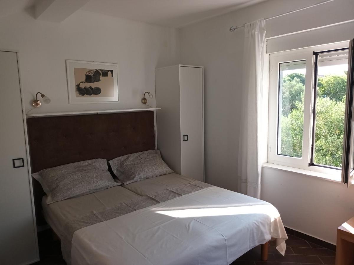 Allegro Apartments נובליה מראה חיצוני תמונה
